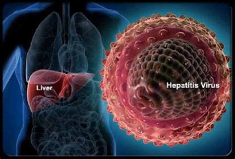 kronik viral hepatit b delta ajansız tedavisi varmı